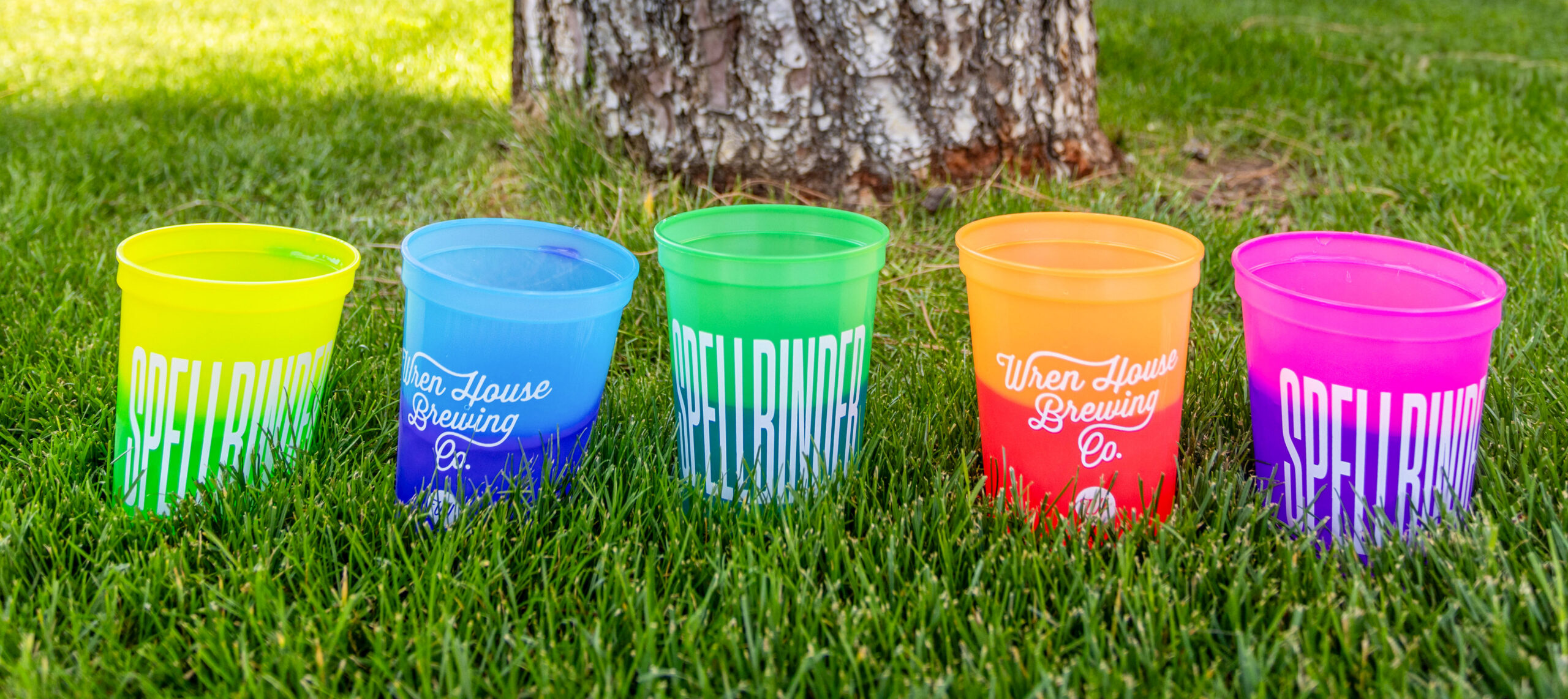 Wren House Brewing Co plastic cups line up on lawn