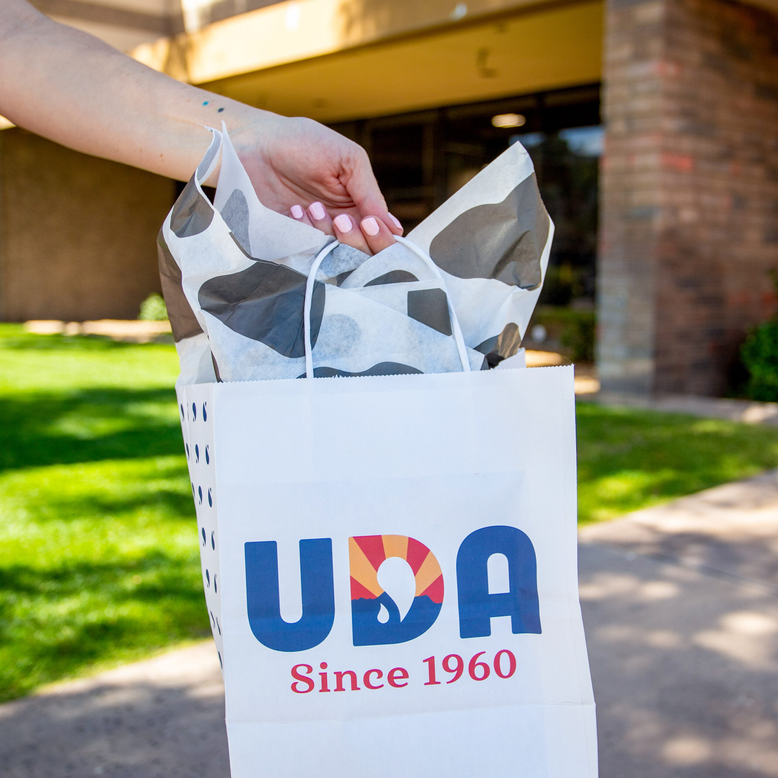 USA bag with custom tissue paper